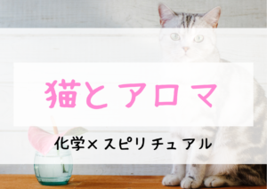 猫にアロマは大丈夫？｜動物とアロマの関係とは！？「アロマセラピー」