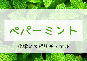 ペパーミント精油に期待される効果とスピリチュアルとは！？