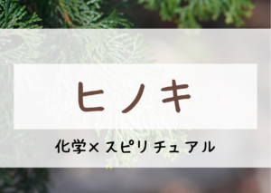 ヒノキ精油に期待される効果とは！？～アロマセラピー～