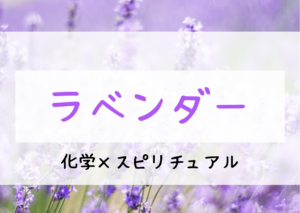 ラベンダー精油に期待される効果とスピリチュアルとは！？