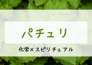 パチュリ精油に期待される効果とスピリチュアルとは！？